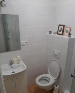 a white bathroom with a toilet and a sink at Apartmán Matylda in Jáchymov +16 photos