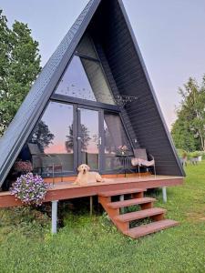 a dog laying on the deck of a tiny house at Rose Valley Cottage in Ieriķi