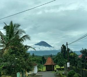 マゲランにあるSeluruh Rumah Karyakita Homestay Magelangの遠くの山の景色