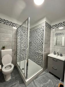 a bathroom with a shower and a toilet and a sink at Apartment Potocnica 222a in Novalja