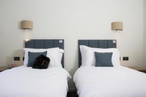a black cat sitting on top of two beds at Captain's Rest with Hot Tub and Sauna in Dunvegan