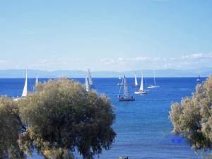 a group of boats in the water with trees at Galini Palace in Athens