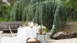 Jardin de l'établissement L'APPART enTHÈSE - Appartement pour une ou deux pers - Accessible à Tous - Meuble Tourisme 3 étoiles en BOURGOGNE