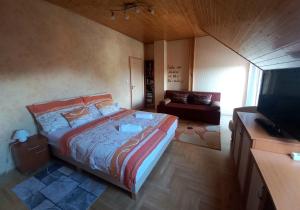 TV a/nebo společenská místnost v ubytování Napsugár Apartman