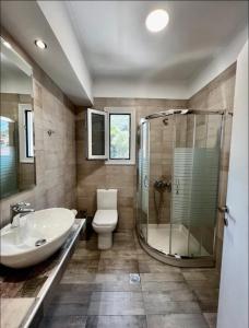 a bathroom with a toilet and a shower and a sink at Valedina Rooms in Nikiana