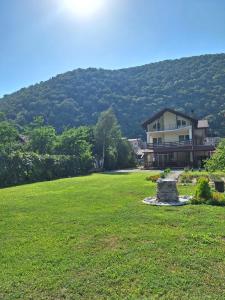 a large yard with a house and a hill at Casa Astoria in Băile Herculane