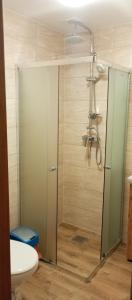 a shower with a glass door in a bathroom at Zakątek Roztocze pokoje gościnne in Zwierzyniec