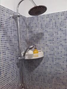 a shower with a shower head in a bathroom at Casa Andrea la Abuela in Vejer de la Frontera