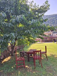 a picnic table and chairs under a tree at Casa Astoria in Băile Herculane +46 photos