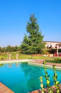 a large swimming pool with a tree in the background at Villa AVRA in Drama