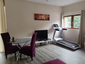 Fitness centrum a/nebo fitness zařízení v ubytování A Beautiful countryside apartment on killarney Road