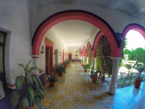 a hallway with potted plants in a building at Hacienda Santa Cruz Del Fuerte in El Fuerte
