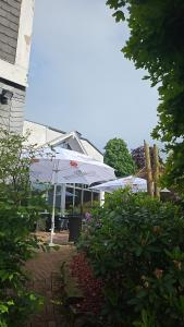 Zahrada ubytování Posthotel Usseln