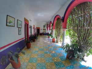 a hallway with potted plants in a building at Hacienda Santa Cruz Del Fuerte in El Fuerte