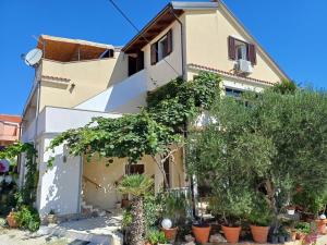 a house with plants in front of it at Apartmani Saška 1 in Privlaka