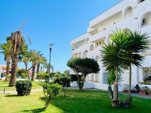 Κήπος έξω από το Quarto Casa na Praia