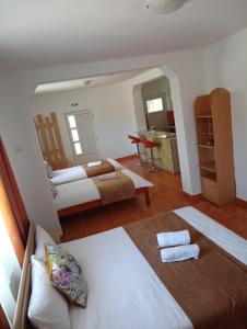 a bedroom with two beds and a living room at Casa Barry's in Tăşnad