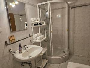 a bathroom with a sink and a shower at Apartmenthaus - Mackenbach in Mackenbach