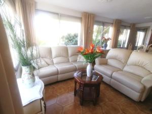 Gallery image of Casa Nova No active in Albir