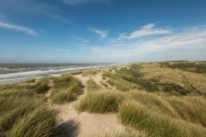 Naturlandskabet i nærheden af lejligheden