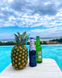 المشروبات في Hotel Parangvue