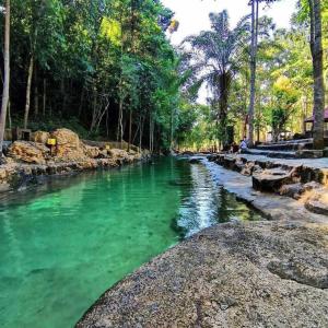 a river in a park with green water and trees at Bintara Guesthouse Sri Sayang Batu Ferringhi in Batu Ferringhi