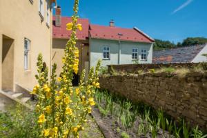 Zahrada ubytování Apartmány Pod starou věží + 13 fotografií