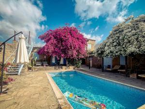 a house with a swimming pool and a pink tree at Cyprus Villages Hotel & Restaurant - Central Location - Bed & Breakfast - With Access To Pool And Stunning Views in Tochni