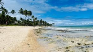 a beach with palm trees and the ocean at Tamandaré Praia Hotel in Tamandaré