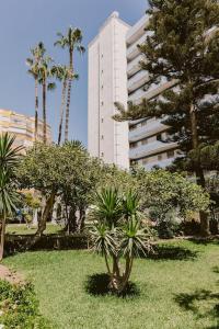 a park with palm trees and a tall building at Estudio en Torre del Mar a 3 minutos andando de la playa in Torre del Mar
