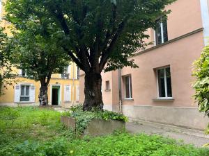 パリにあるMaison Parisの建物の隣のコンクリートの箱の中に置かれた木 +19枚の写真