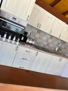 Una cocina o kitchenette en Pensiunea Hanzu Darius 18 fotos más