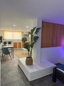 Foto dalla galleria di Maison da Praia a Praia Altre 55 foto