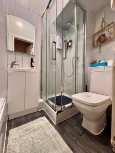 a bathroom with a glass shower and a toilet at Apart Bernard Rooms in Edinburgh