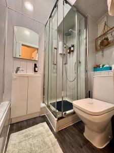 a bathroom with a shower and a toilet at Apart Bernard Rooms in Edinburgh