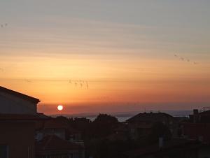 a sunset with birds flying in the sky at ЕкоПойнт in Chernomorets