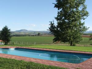 ein Swimmingpool im Gras mit einem Baum in der Unterkunft River Crossing in Champagne Valley