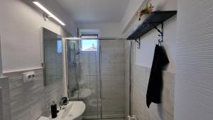 a bathroom with a shower and a toilet and a sink at Refugiul Castelului in Hunedoara