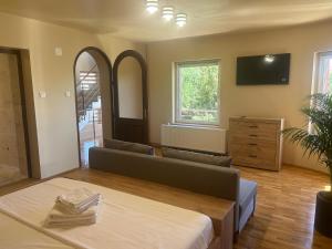 a living room with a couch and a tv at Crystal Salin in Turda
