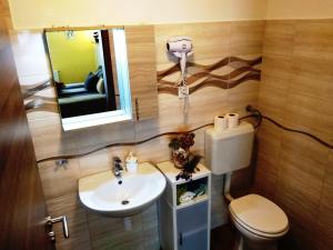 Un baño con lavabo, inodoro y espejo. en Tulipán Apartmanház, en Bük