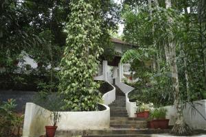 a house with stairs and trees in front of it at Vintage valley Heritage home in Thodupuzha