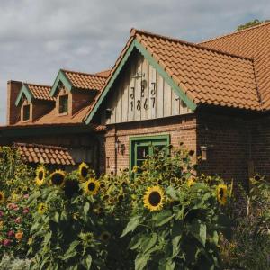 Φωτογραφία από το άλμπουμ του Osada Między Drzewami σε Braniewo