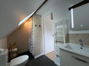 a bathroom with a white toilet and a sink at Séjour champêtre et bucolique in Saint-Maurice-sur-Fessard