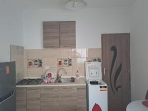 a small kitchen with a sink and a refrigerator at Sea Wave House in Constanţa