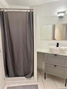 a bathroom with a shower curtain and a sink at Le poète roucher in Montpellier