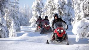 SKOG Aurora igloos talvel