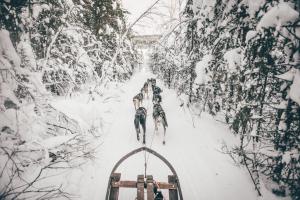 SKOG Aurora igloos talvel