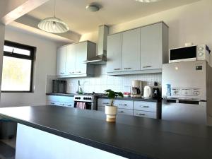 Кухня или мини-кухня в Blue Beryl Guest House
