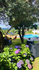 Un jardín con flores y una hamaca y un árbol. en Casa Matreiro, en Proselo