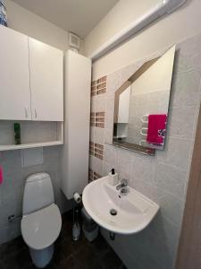 un bagno con lavandino, WC e specchio di Poilsis Urbo Nidoje a Nida